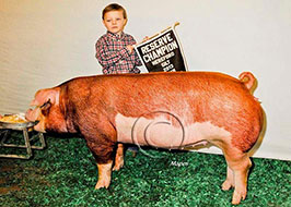 Team Purebred Southwest Regional Results