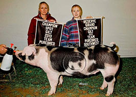 Team Purebred Southwest Regional Results
