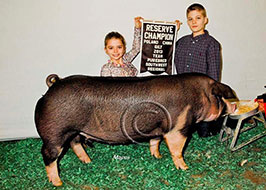 Team Purebred Southwest Regional Results