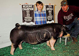 Team Purebred Southwest Regional Results