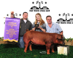 Fort Worth Stock Show Show Pig Results