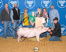 OK Youth Expo Gilt Show Results