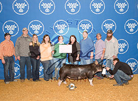 OK Youth Expo Gilt Show Results