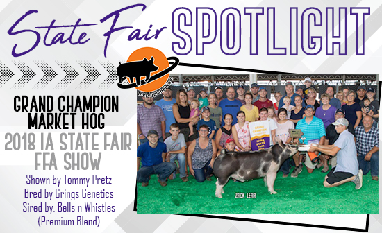 MO State Fair