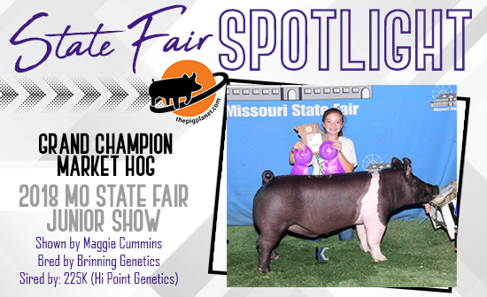 MO State Fair