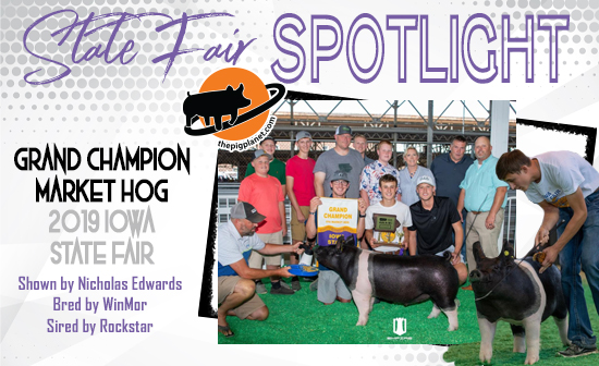 State Fair Spotlight