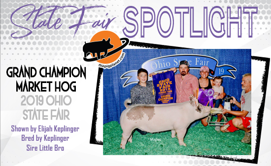 State Fair Spotlight