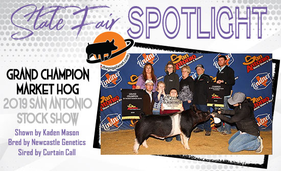 State Fair Spotlight