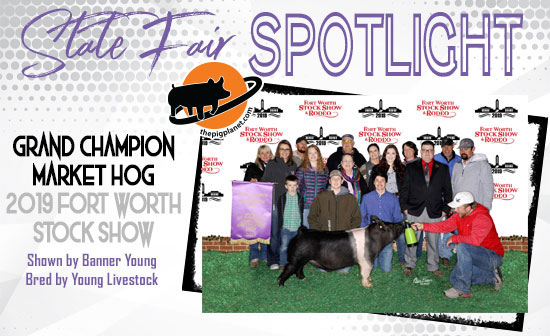 State Fair Spotlight
